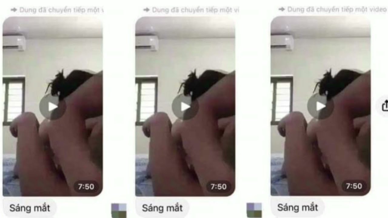 Giáo viên mầm non lộ clip nóng 8 phút xem ngay có link